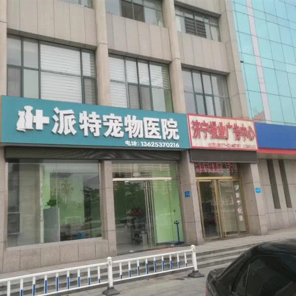 派特宠物医院:济宁市任城区火炬路附近