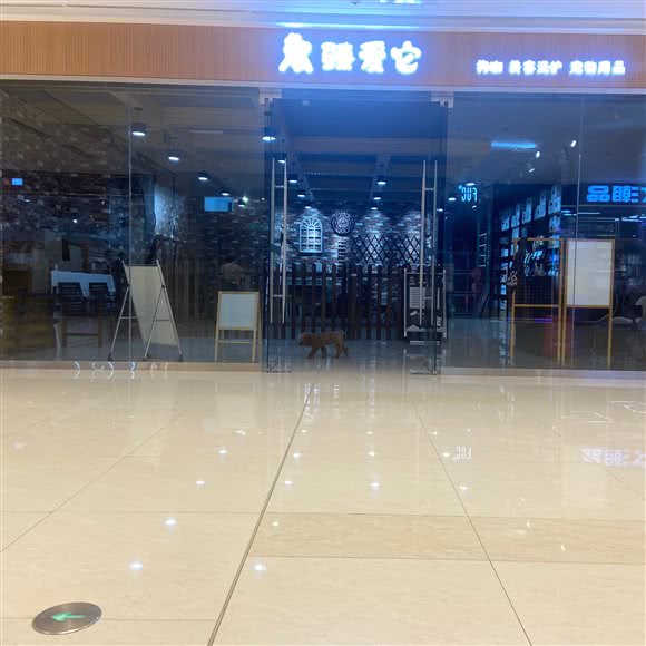 臻爱它宠物店:济宁市任城区北湖生态旅游区附近