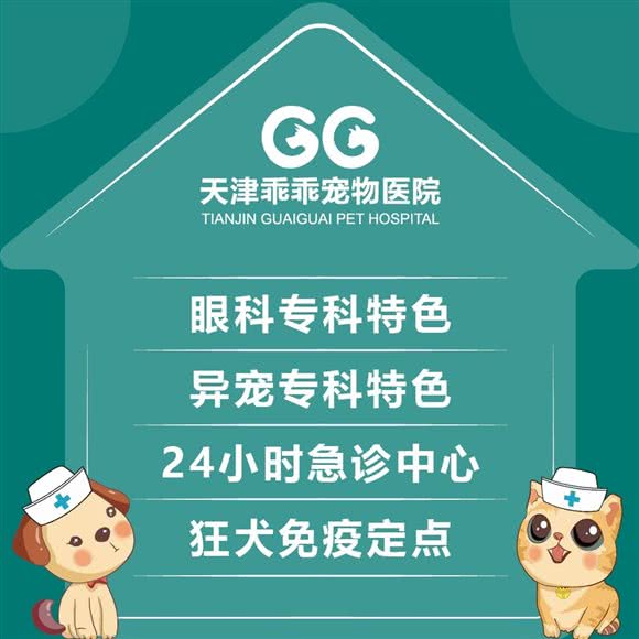 乖乖连锁·华庭动物医院24小时?眼科?异宠?急重症转诊中心:天津城区南开区老城厢/鼓楼附近