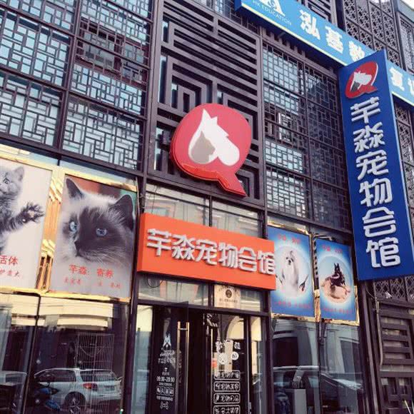 希希里宠物会馆:天津城区南开区老城厢/鼓楼附近