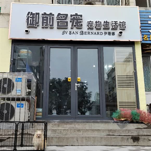 御前名宠宠物生活馆:泰安市泰山区科山路附近