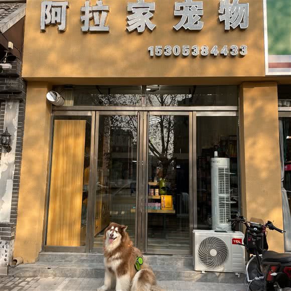 阿拉家宠物:泰安市泰山区宝龙城市广场附近