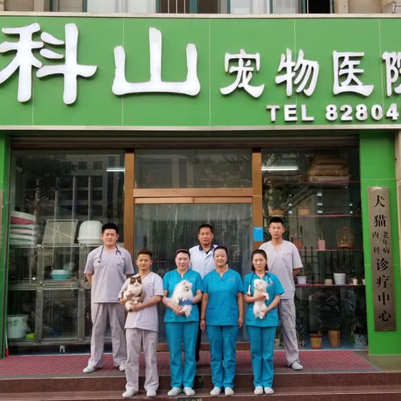 科山宠物医院:泰安市泰山区擂鼓石大街附近
