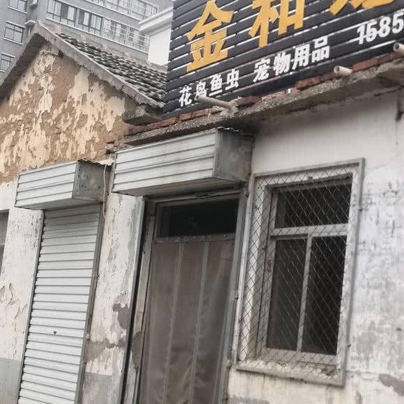 金和宠物:泰安市泰山区花园银座附近