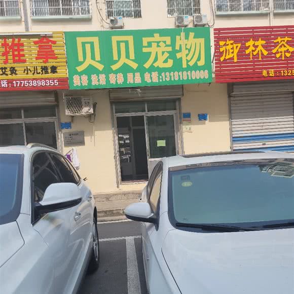 贝贝狗狗:泰安市泰山区泰山广场附近