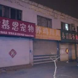 慕恩宠物(荣院东路店):泰安市泰山区泰山温州商业步行街附近
