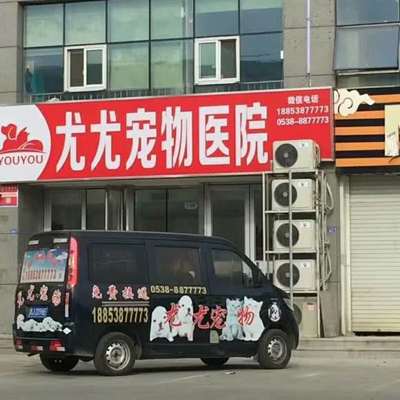 尤尤宠物医院(梦想谷店):泰安市泰山区泰山温州商业步行街附近