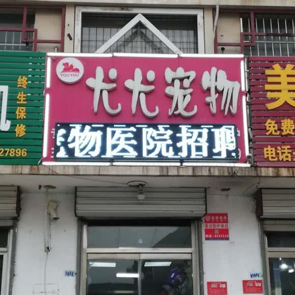 尤尤宠物(南关大街店):泰安市泰山区南湖公园附近