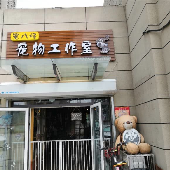 宠八怪宠物工作室:泰安市泰山区新华城附近