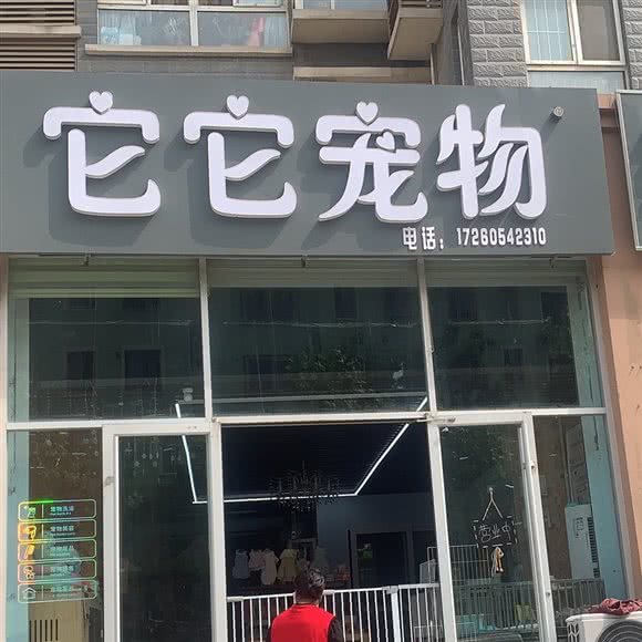 它它宠物:泰安市岱岳区岱岳区中心城区附近