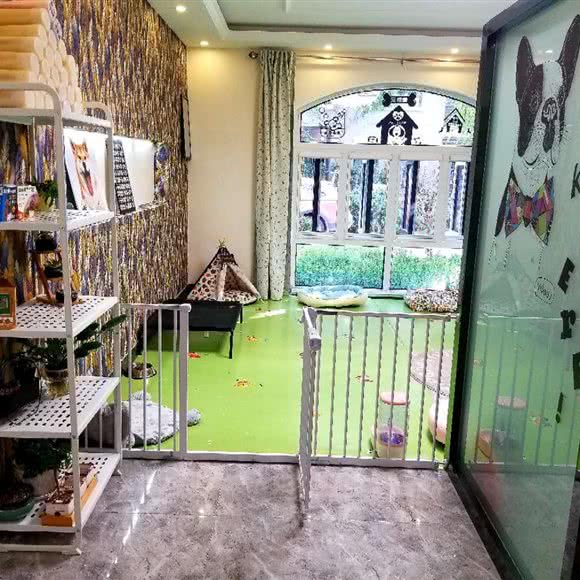 米诺宠物猫舍:天津城区南开区老城厢/鼓楼附近