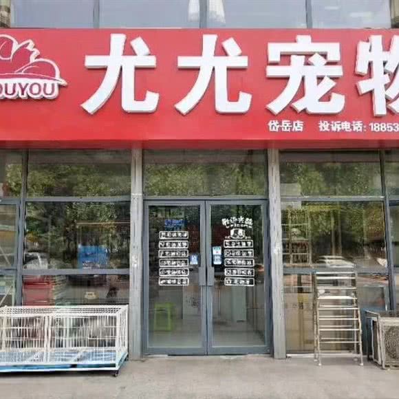 尤尤宠物(岱岳区区委店):泰安市岱岳区岱岳区中心城区附近