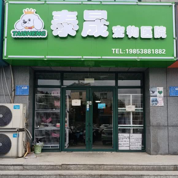 泰晟宠物医院:泰安市岱岳区岱岳区中心城区附近