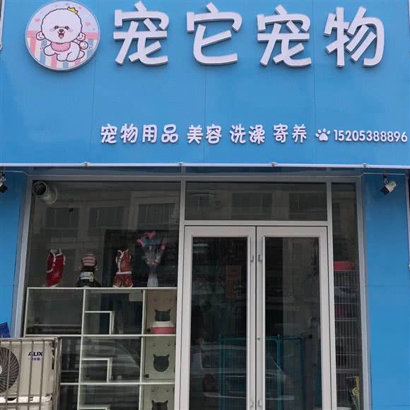 宠它们宠物:泰安市岱岳区泰山大街附近