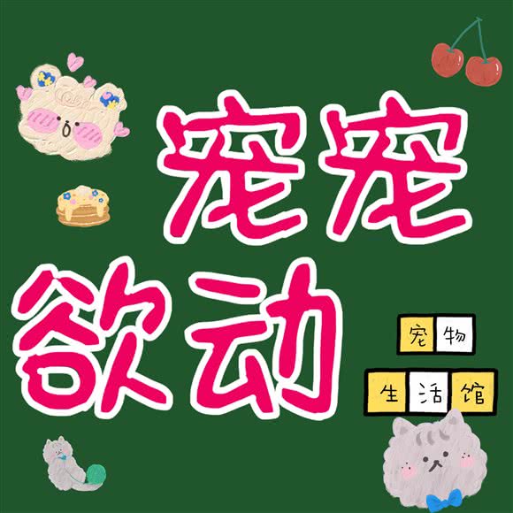 宠宠欲动宠物生活馆:威海市环翠区威海大世界附近
