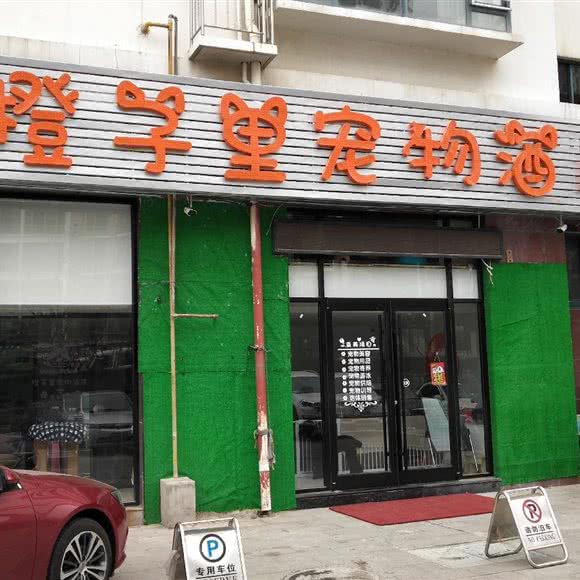 橙子里狗狗酒店:威海市环翠区抱海附近