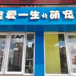 宠爱一生萌宠馆:威海市环翠区花园中路附近