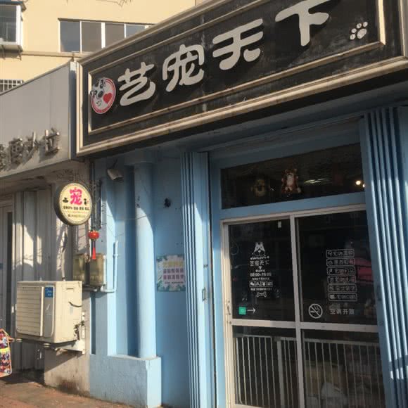 艺宠天子:威海市环翠区花园中路附近