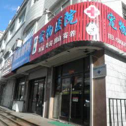 绿洲宠物医院:威海市环翠区花园中路附近