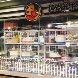 恒尚宠物:威海市环翠区杨家滩/W37购物中心附近