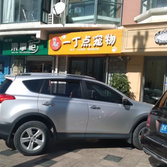 一丁点宠物:威海市环翠区杨家滩/W37购物中心附近