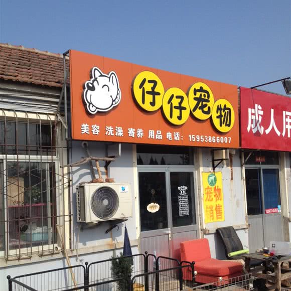 仔仔宠物:威海市环翠区初村附近