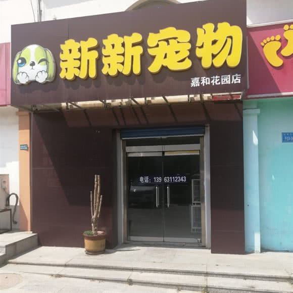 崭新新宠物:威海市文登区天福街道附近