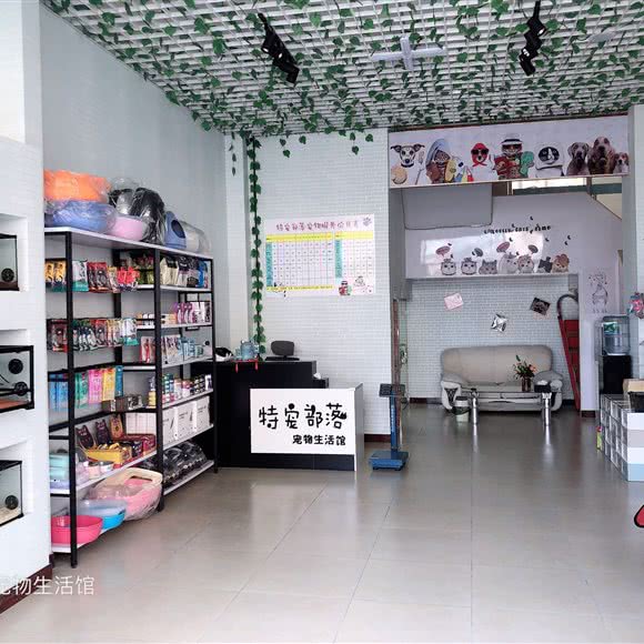 特宠部落宠物生活馆:威海市荣成市崖头街道附近