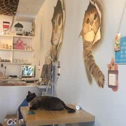 喵皇驾到主题猫咪生活馆:威海市荣成市崖头街道附近