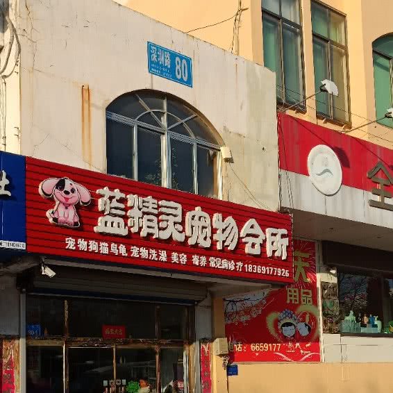 蓝精灵宠物会所:威海市乳山市城区街道附近