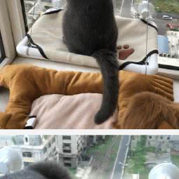 龙峰宠物用品:威海市乳山市城区街道附近