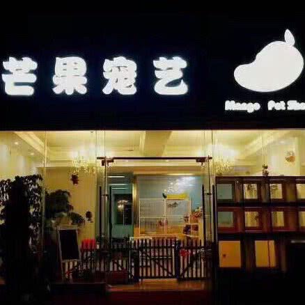 芒果宠艺:日照市东港区市政府附近