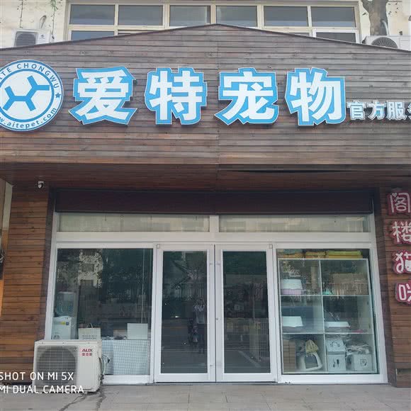 爱特狗狗:日照市东港区市政府附近