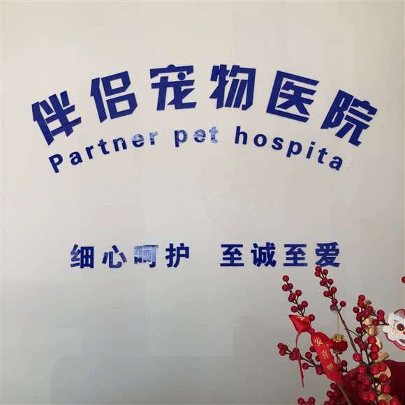 伴侣宠物医院24小时:日照市东港区大润发附近
