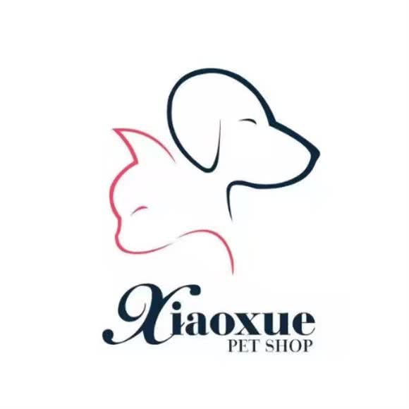 小雪爱宠:天津城区南开区白堤路/风荷园附近