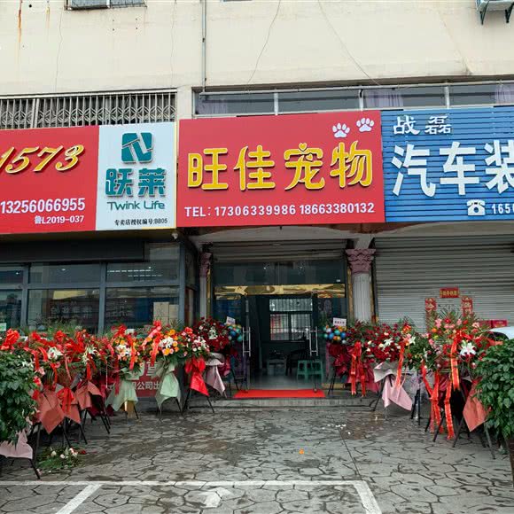 旺佳宠物店:日照市东港区老城区附近