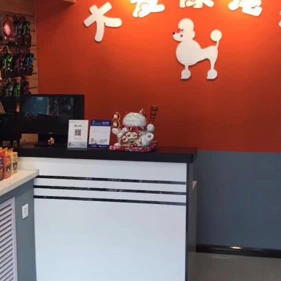 大爱康宠物(南开店):天津城区南开区白堤路/风荷园附近