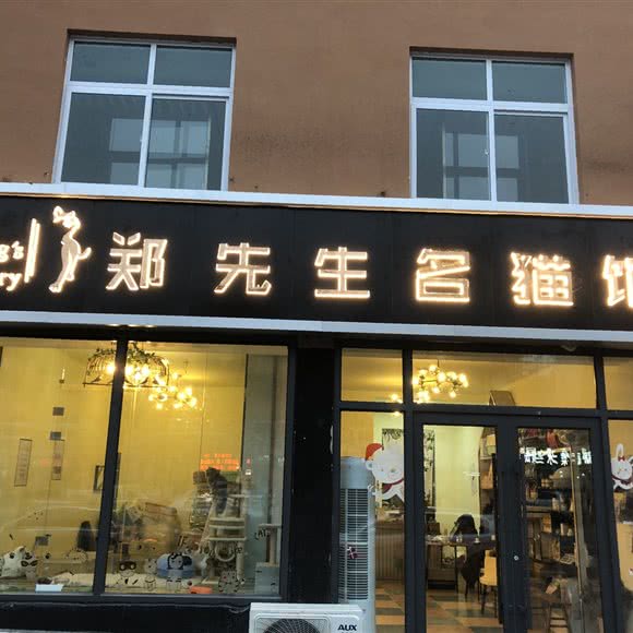 郑先生名猫馆(天津路新店):日照市东港区万平口风景区附近