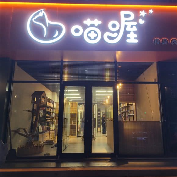 喵喔:日照市东港区凯德广场附近