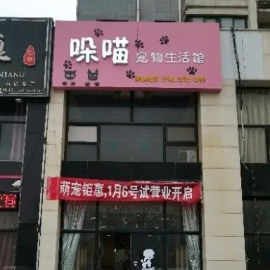 哚喵宠物生活馆:日照市岚山区岚山区附近