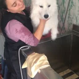 派多格宠物(岚山店):日照市岚山区岚山区附近