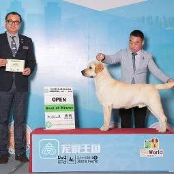 海迪宠物医院:日照市岚山区岚山区附近