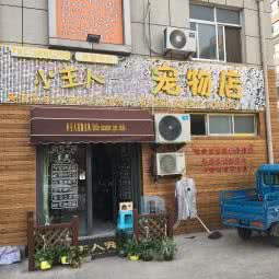 小主人宠物店:临沂市兰山区北城新区附近