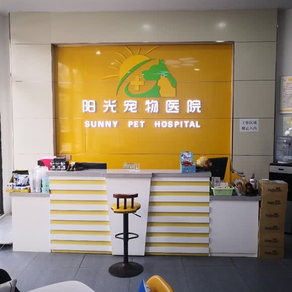 阳光宠物医院:临沂市兰山区北城新区附近