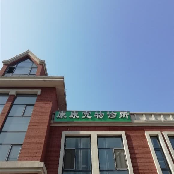 康康宠物诊所:临沂市兰山区北城新区附近
