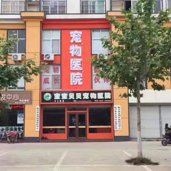宝宝贝贝宠物医院(中丘路院):临沂市兰山区埠东附近