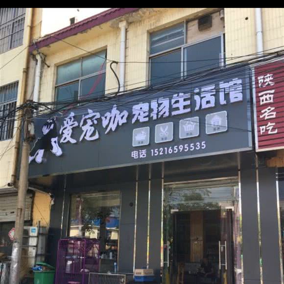 爱宠咖宠物门诊:临沂市兰山区东方不夜城附近