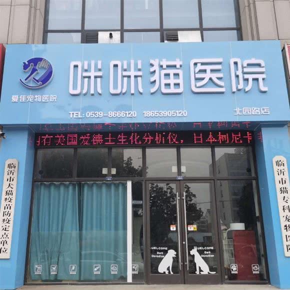 爱佳咪咪猫专科医院(北园路店):临沂市兰山区北园路附近