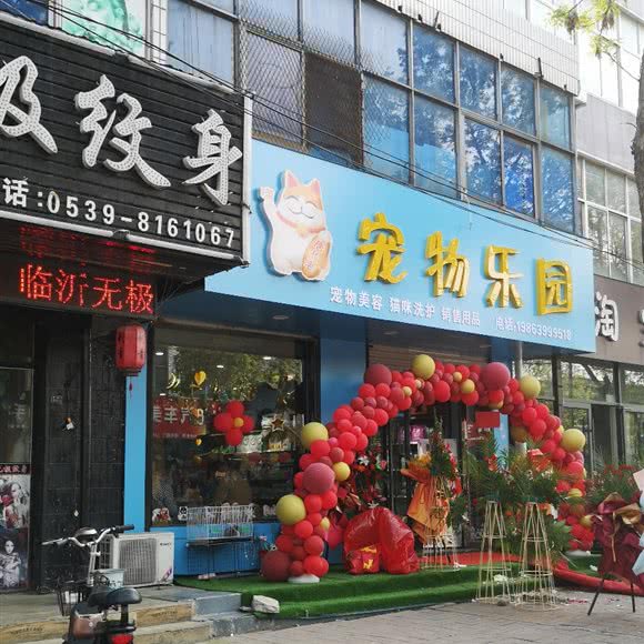 宠物乐园:临沂市兰山区临西五路附近