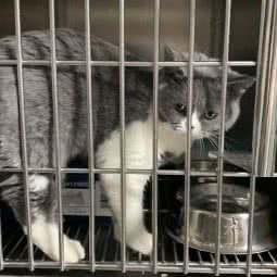 博津宠物医院:天津城区南开区天佑城/西南角附近